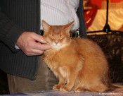 027-Berlioz_3083
