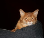 030-Berlioz_3103