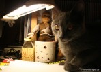 030-lampe_1524