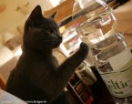 031-6mois_2602