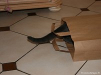 031-jeux_0976