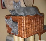 Portrait de famille