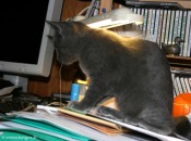 033-informatique_0927