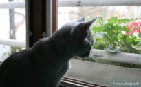 033-regard_0884