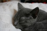 034-sommeil_0474