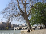 035-quai-seine_8347