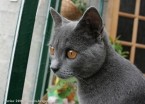 037-6mois_2630
