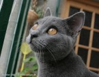 038-6mois_2631