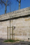 038-quai-tuileries_8003