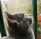 039-6mois_2755