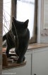 040-equilibre_1666