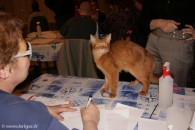 041-Somali-Sorrel Purr N Kiss-3066