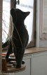 041-equilibre_1667