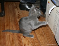 041-jeu_0772