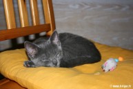 042-Fatiguante cette route