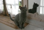 043-miroir_1787