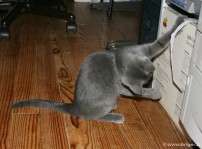 045-jeu_0776
