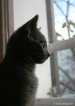 046-$vigie_1757