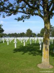 046-arbre-PICT3318