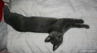 048-long_chat_0869