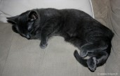 049-position_0487