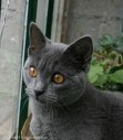 050-7mois_3340