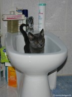 051-baignoire_brumi_0496