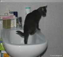052-sortie_bain_0498