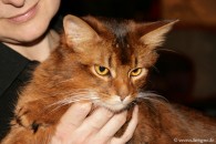 0520-Somali-de-Cadicha_3112