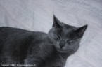 057-6mois_2909