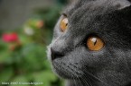 058-7mois_4006