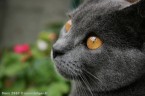 059-7mois_4007