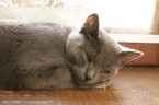 062-7mois_3274