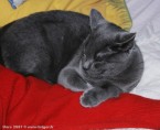 063-7mois_3495