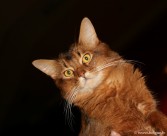 063-Somali-de-Cadicha_3118