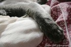 064-6mois_3020