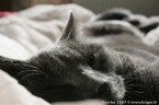 065-6mois_3021