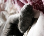 066-6mois_3022