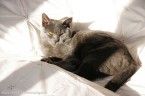 069-7mois_3973