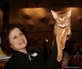 070-Abyssin livre Purr N Kiss_3120