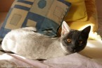 071-7mois_3437