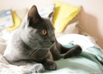 072-7mois_3985
