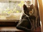 073-6mois_3041