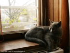 074-6mois_3045
