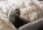 074-7mois_3578