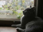075-6mois_2840