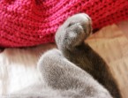 075-7mois_3579