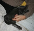 080-bras_brigitte_0602