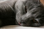083-7mois_4019