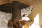 084-6mois_2863